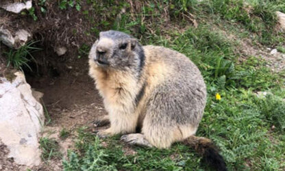 09_sommer_2020-05-12_153405_53c4002b77