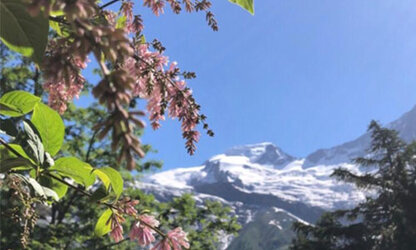 07_sommer_2020-05-12_153527_1c6e5a68f9